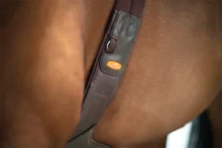 Schockemohle Oklahoma Stud Guard Girth Espresso-Silver -Equestrian Supply Store 1152 00014 8 Schockemoehle Sports Stollenschutzgurt Oklahoma espresso 5HVjkLPTztLc7t