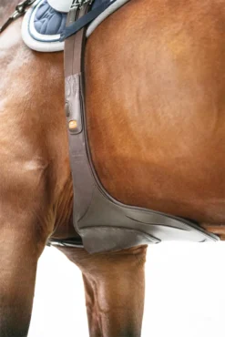 Schockemohle Oklahoma Stud Guard Girth Espresso-Silver -Equestrian Supply Store 1152 00014 8 Schockemoehle Sports Stollenschutzgurt Oklahoma espresso 6uZDEsIsQbZ0aE