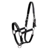 Schockemohle Memphis Headcollar Black -Equestrian Supply Store 142 1311 00001 Memphis blackHibPtnIYOTdVI