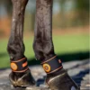 LeMieux Conductive Magno Pastern Wrap Black -Equestrian Supply Store 3n6a8483 copy
