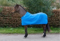 Apollo Air Cooler Rug Royal Blue