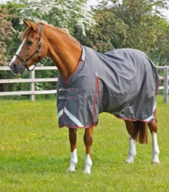 Premier Equine Buster 150g Turnout With Classic Neck Cover Grey 10 Premier Equine Buster 150g Turnout With Classic Neck Cover Grey -Equestrian Supply Store AW21 Buster 150 Grey 3