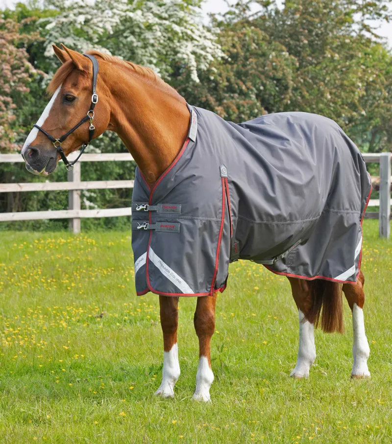 Premier Equine Buster 150g Turnout With Classic Neck Cover Grey 5 Premier Equine Buster 150g Turnout With Classic Neck Cover Grey - Image 3