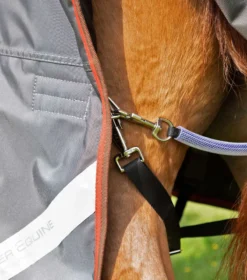 Premier Equine Buster 150g Turnout With Classic Neck Cover Grey 13 Premier Equine Buster 150g Turnout With Classic Neck Cover Grey -Equestrian Supply Store AW21 Buster 150 Grey 6