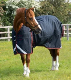 Premier Equine Buster 150g Turnout With Classic Neck Cover Navy 10 Premier Equine Buster 150g Turnout With Classic Neck Cover Navy -Equestrian Supply Store AW21 Buster 150 Navy 3