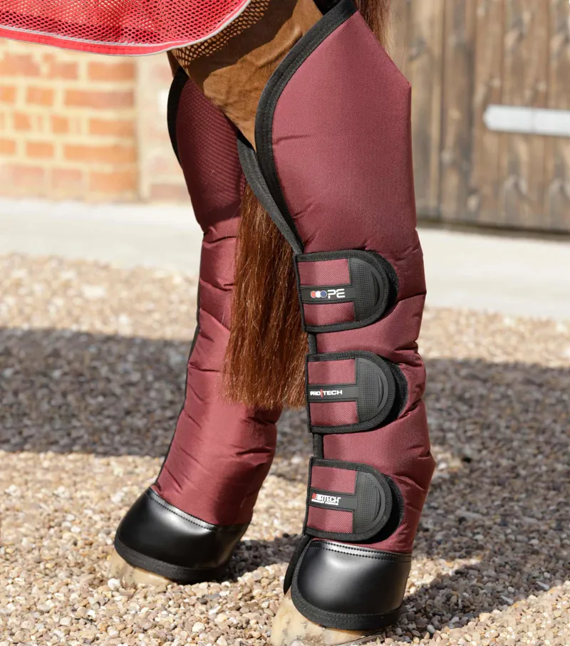 Premier Equine Ballistic Knee Pro-Tech Horse Travel Boots Burgundy 4 Premier Equine Ballistic Knee Pro-Tech Horse Travel Boots Burgundy - Image 2