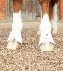 Premier Equine Ballistic No-Turn Over Reach Boots White -Equestrian Supply Store Ballistic No Turn Over Reach Boots White 3