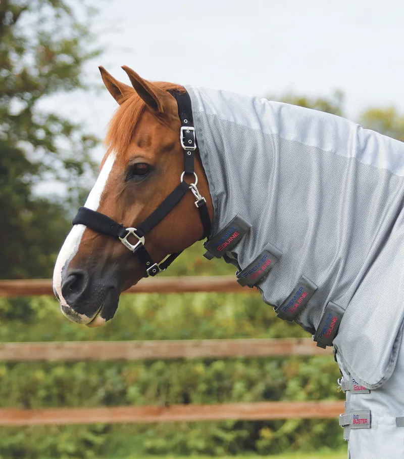 Premier Equine Bug Buster Fly Rug With Belly Flap 4 Premier Equine Bug Buster Fly Rug With Belly Flap - Image 2
