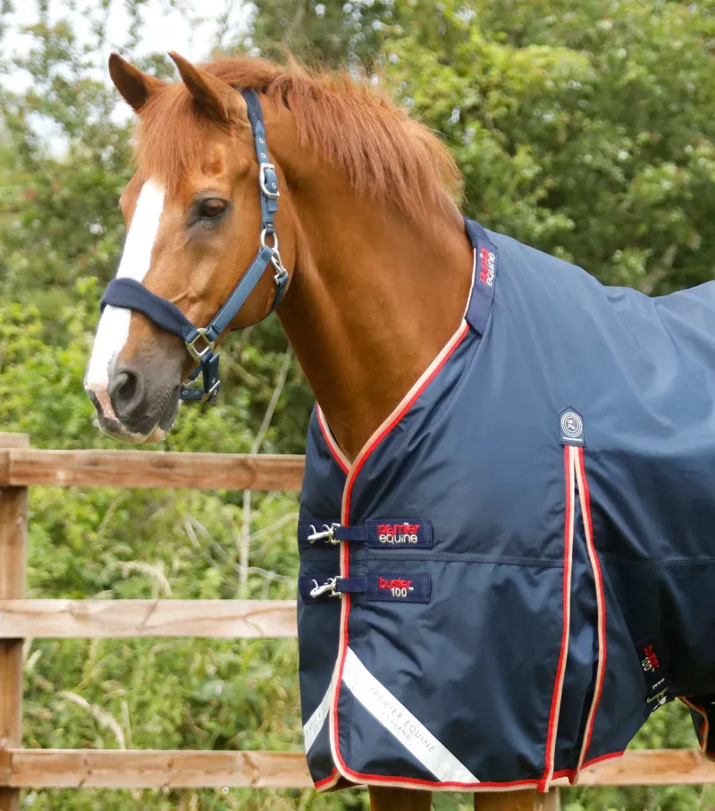 Premier Equine Buster 100g Turnout Rug With Snug-Fit Neck Cover Navy 4 Premier Equine Buster 100g Turnout Rug With Snug-Fit Neck Cover Navy - Image 2