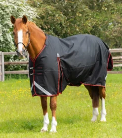 Premier Equine Buster 250g Turnout Rug With Classic Neck Cover Black 10 Premier Equine Buster 250g Turnout Rug With Classic Neck Cover Black -Equestrian Supply Store Buster 250 Turnout Rug Black 3