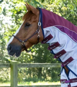Premier Equine Buster Stay-Dry Super Lite Fly Rug With Surcingles Wine 9 Premier Equine Buster Stay-Dry Super Lite Fly Rug With Surcingles Wine -Equestrian Supply Store Buster Stay Dry Super Lite Fly Rug Wine 2
