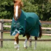 Premier Equine Buster Zero Original Turnout Rug Green 1 Premier Equine Buster Zero Original Turnout Rug Green -Equestrian Supply Store Buster Zero Original Turnout Rug Green 1