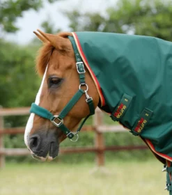 Premier Equine Buster Zero Turnout Rug With Classic Neck Cover Green -Equestrian Supply Store Buster Zero Turnout Rug Green 3