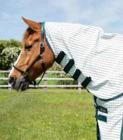 Premier Equine Combo Cotton Sheet Green Check -Equestrian Supply Store Combo Cotton Sheet Green Check 2