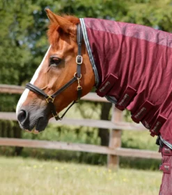 Premier Equine Combo Mesh Air Fly Rug With Surcingles Wine -Equestrian Supply Store Combo Mesh Air Fly Rug with Surcingles Wine 2