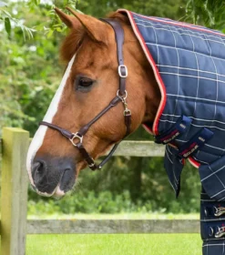 Premier Equine Domus 400g Combo Stable Rug Navy 9 Premier Equine Domus 400g Combo Stable Rug Navy -Equestrian Supply Store Domus 400 Stable Rug Navy 2