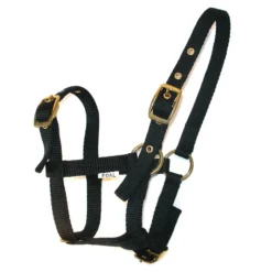 JHL Foal Headcollar In Black