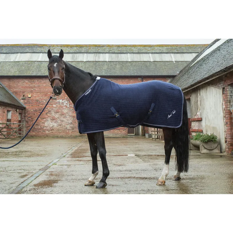 Mark Todd Coolex Cooler Rug In Navy/White 3 Mark Todd Coolex Cooler Rug In Navy/White