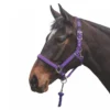 Mark Todd Deluxe Padded Headcollar W/Lead Rope In Purple -Equestrian Supply Store EQUINE MarkTodd U DeluxePaddedHeadcollar wLeadRope Purple