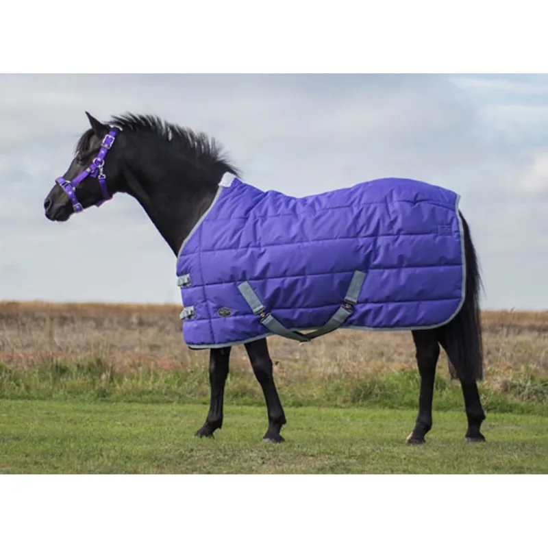 Mark Todd Mediumweight Pony Stable Rug In Purple/Grey 3 Mark Todd Mediumweight Pony Stable Rug In Purple/Grey