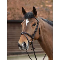 Mark Todd Performance Flash Bridle In Havana