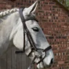 GFS Harmony Bridle With Rubber Grip Reins - Brown 1 GFS Harmony Bridle With Rubber Grip Reins - Brown -Equestrian Supply Store GFS Harmony Bridle with Rubber Grip Reins 2