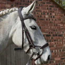GFS Harmony Bridle With Rubber Grip Reins - Brown