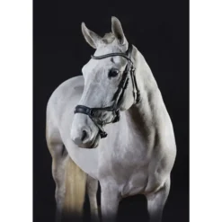 GFS Premier Alpine Bridle - Brown