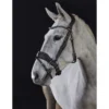 GFS Premier Prime Bridle - Black