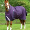 Premier Equine Buster Hardy 100g Half Neck Turnout Rug Purple -Equestrian Supply Store Hardy Purple 1