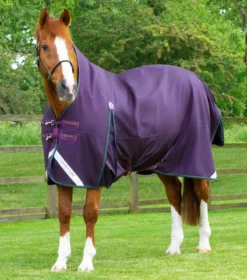Premier Equine Buster Hardy 100g Half Neck Turnout Rug Purple