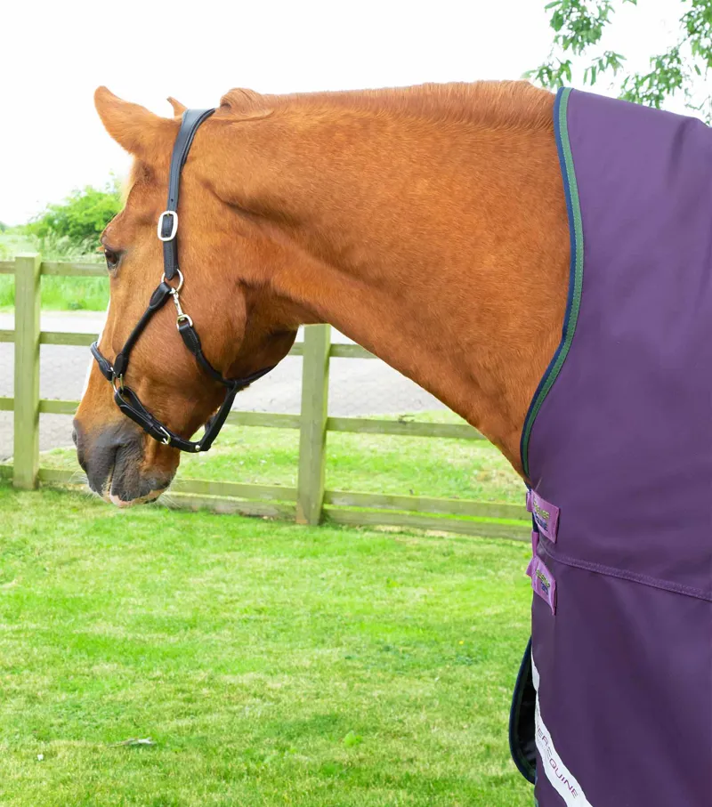 Premier Equine Buster Hardy 100g Half Neck Turnout Rug Purple 4 Premier Equine Buster Hardy 100g Half Neck Turnout Rug Purple - Image 2