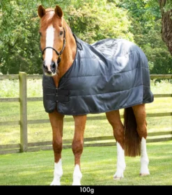 Premier Equine 100g Horse Rug Liner Black
