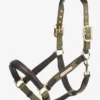 LeMieux Capella Head Collar Forest