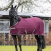 LeMieux Arika Air-Tek Sheet Rug Burgundy -Equestrian Supply Store LeMieux Arika AirTek Sheet Rug 1