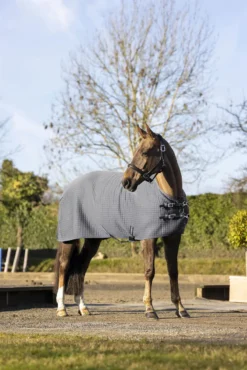 LeMieux Arika Clima-Tek Rug Grey -Equestrian Supply Store LeMieux Arika ClimaTek Rug 1