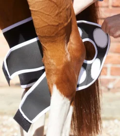 Premier Equine Magni-Teque Magnetic Hock Boots Black -Equestrian Supply Store Magni Teque Magnet Hock Boots 3