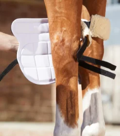 Premier Equine Magni-Teque Magnetic Knee Boots Black -Equestrian Supply Store Magni Teque Magnet Knee Boots 4