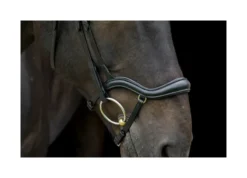 EcoRider Ecosoft Finesse Bridle - Black -Equestrian Supply Store P ECO FIN BRI ECO603 03