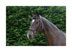 EcoRider Ecosoft Finesse Bridle - Black -Equestrian Supply Store P ECO FIN BRI ECO603 09