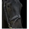 EcoRider Freedom Show Comfort Noseband - Black 1 EcoRider Freedom Show Comfort Noseband - Black -Equestrian Supply Store P SHO COM NOS 2