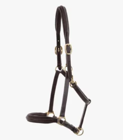 Premier Equine Padded Leather Headcollar Brown 5 Premier Equine Padded Leather Headcollar Brown -Equestrian Supply Store Padded Leather Head Collar Brown 2