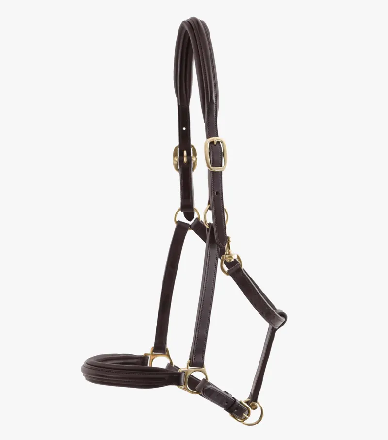 Premier Equine Padded Leather Headcollar Brown 4 Premier Equine Padded Leather Headcollar Brown - Image 2