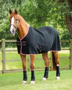 Premier Equine PremTex Horse Cooler Rug Black
