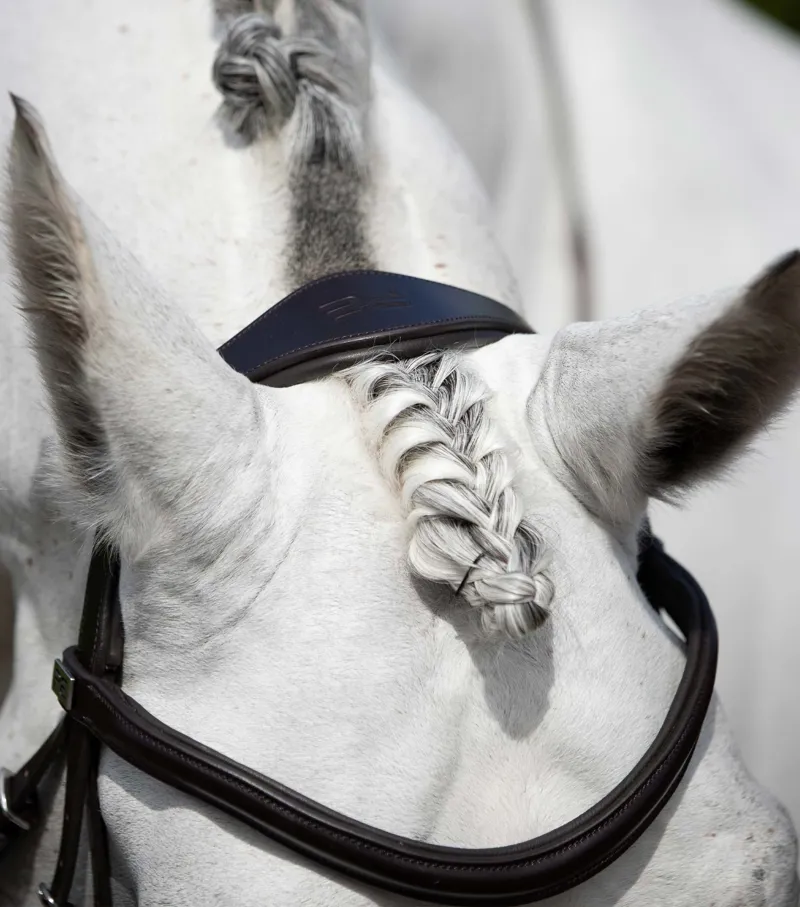 Premier Equine Rizzo Anatomic Snaffle Bridle With Flash Brown 8 Premier Equine Rizzo Anatomic Snaffle Bridle With Flash Brown - Image 6