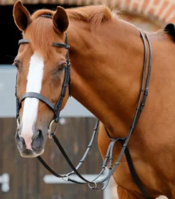 Premier Equine Santadi Adjustable Running Martingale Black -Equestrian Supply Store Santadi Adjustable Running Martingale Black 2