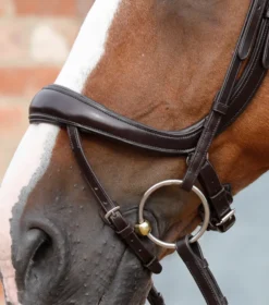 Premier Equine Savuto Anatomic Bridle With Crank Naseband And Flash Brown 9 Premier Equine Savuto Anatomic Bridle With Crank Naseband And Flash Brown -Equestrian Supply Store Savuto Anatomic Bridle with Crank Brown 1ALT