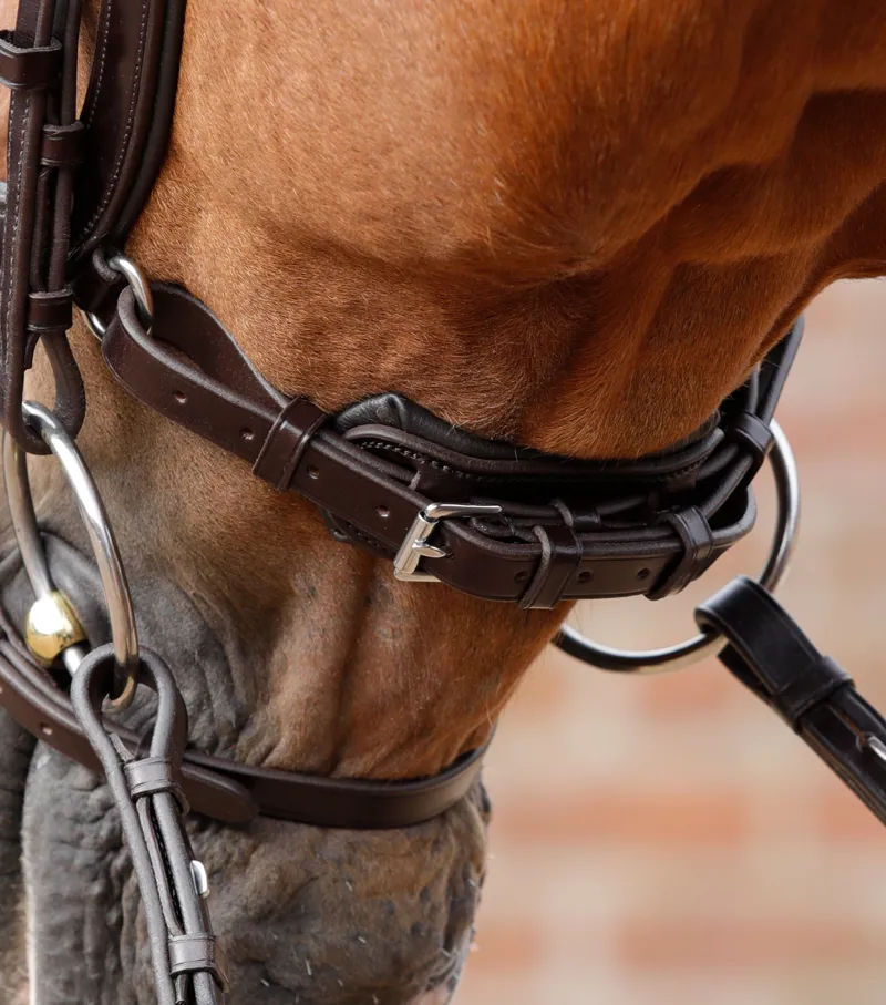 Premier Equine Savuto Anatomic Bridle With Crank Naseband And Flash Brown 5 Premier Equine Savuto Anatomic Bridle With Crank Naseband And Flash Brown - Image 3