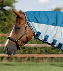 Premier Equine Stay-Dry Mesh Air Fly Rug With Surcingles Blue -Equestrian Supply Store Stay Dry Mesh Air Fly Rug with Surcingles Blue 2