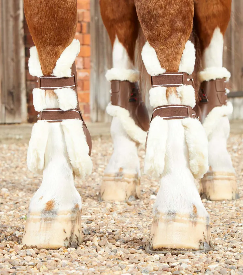 Premier Equine Techno Wool Tendon Boots Brown 4 Premier Equine Techno Wool Tendon Boots Brown - Image 2